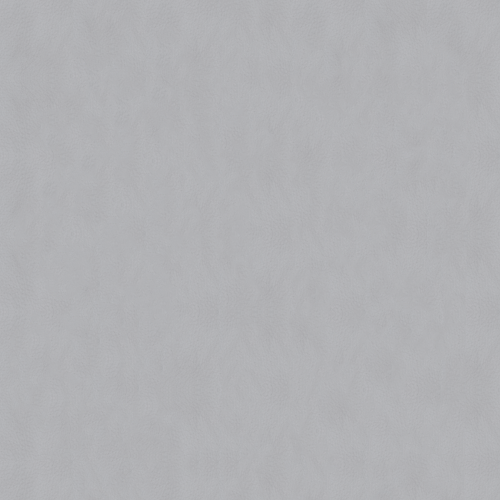 Cat.70 - Silver 6203